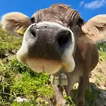 Hébergement de vacances Haus Lechtal *