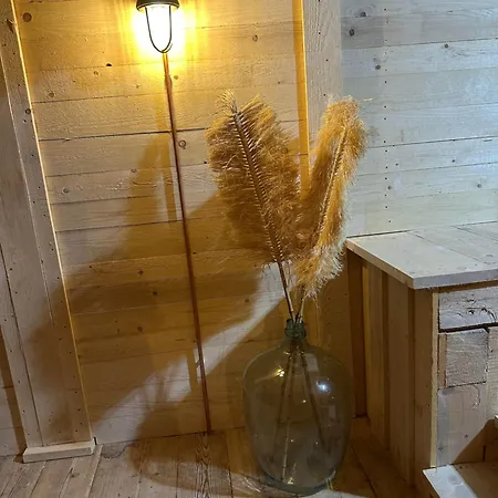 Fritz Alpchalets - Haus Lechtal *