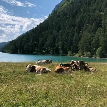 Tatil Evi Haus Lechtal Vorderhornbach