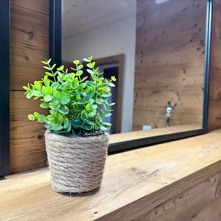 Prázdninový dům Fritz Alpchalets - Haus Lechtal *
